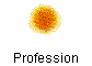 Profession